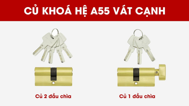 CỦ CHÌA SEVENDAYS NHƯ THẾ NÀO? Có những loại củ chìa nào