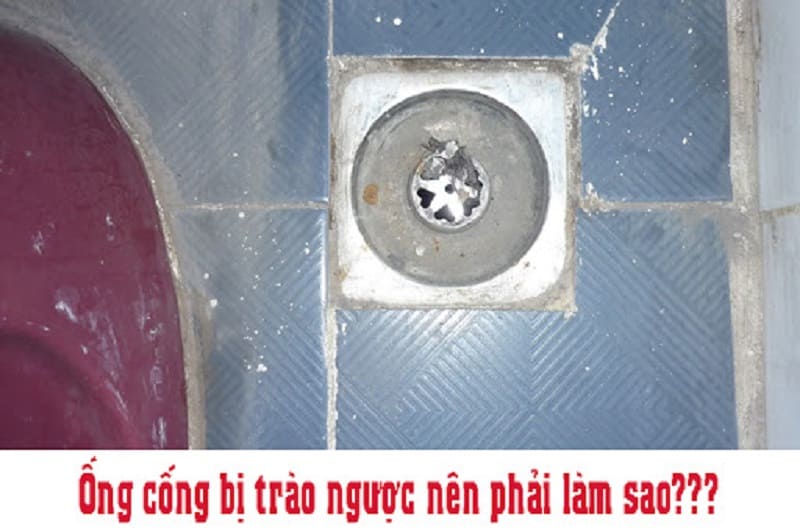 Nguyên nhân khiến cống trào ngược và cách xử lý