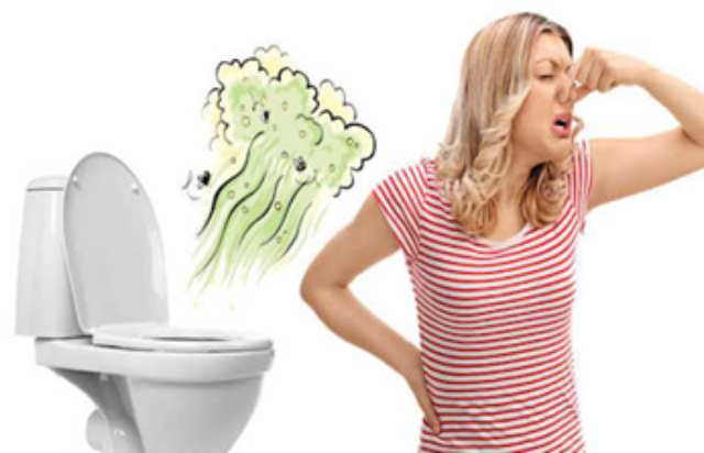 Những nguyên nhân gây ra mùi hôi nhà vệ sinh ở chung cư và cách xử lý Mùi hôi từ bồn cầu