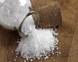 Những loại côn trùng gây hại trong nhà vệ sinh bạn cần biết và cách tiêu diệt.