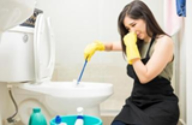 Với nguyên nhân từ xuất phát từ Bồn cầu